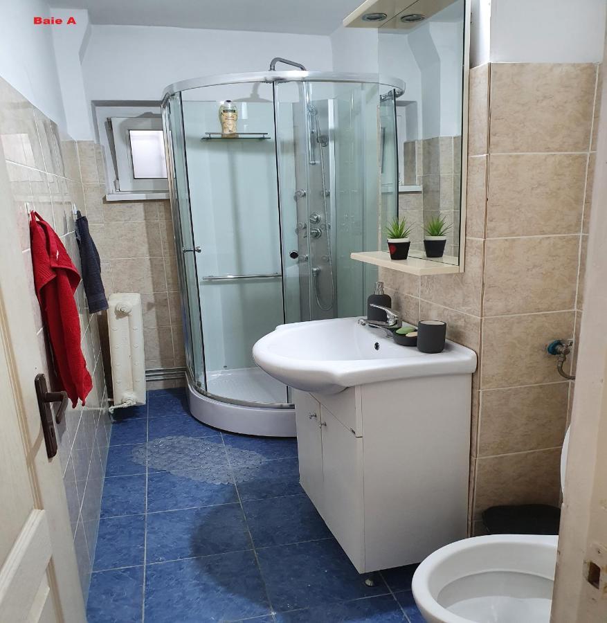 Mia Central Apart, 3 Rooms, 2 Baths, Afi Mall Braşov Dış mekan fotoğraf