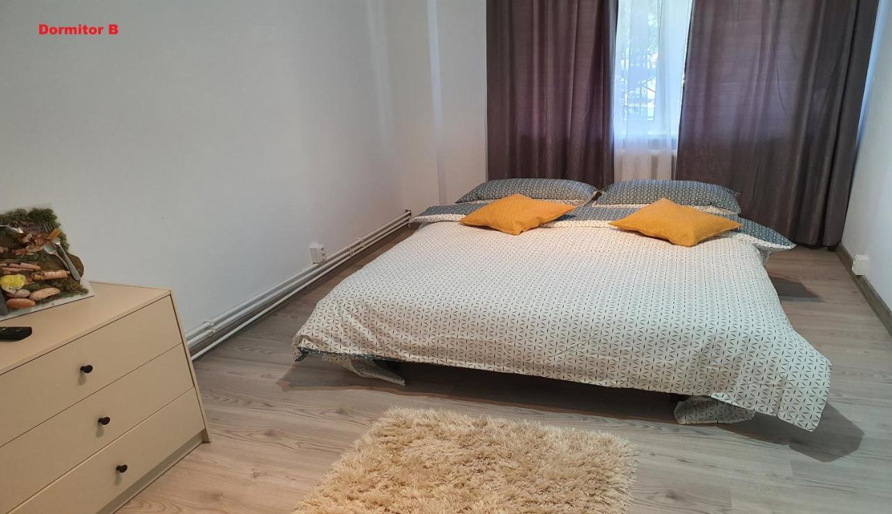 Mia Central Apart, 3 Rooms, 2 Baths, Afi Mall Braşov Dış mekan fotoğraf