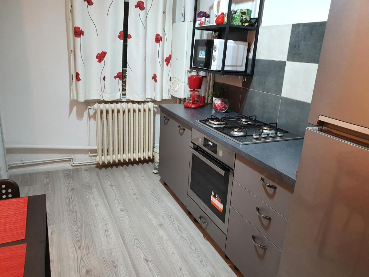 Mia Central Apart, 3 Rooms, 2 Baths, Afi Mall Braşov Dış mekan fotoğraf